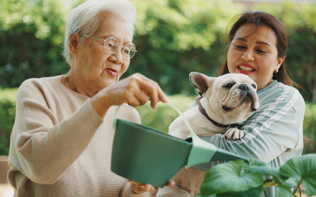 Best Dog Breeds for Apartment Living